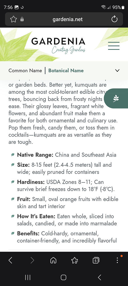 Screenshot_20260620_075602_Samsung Browser
