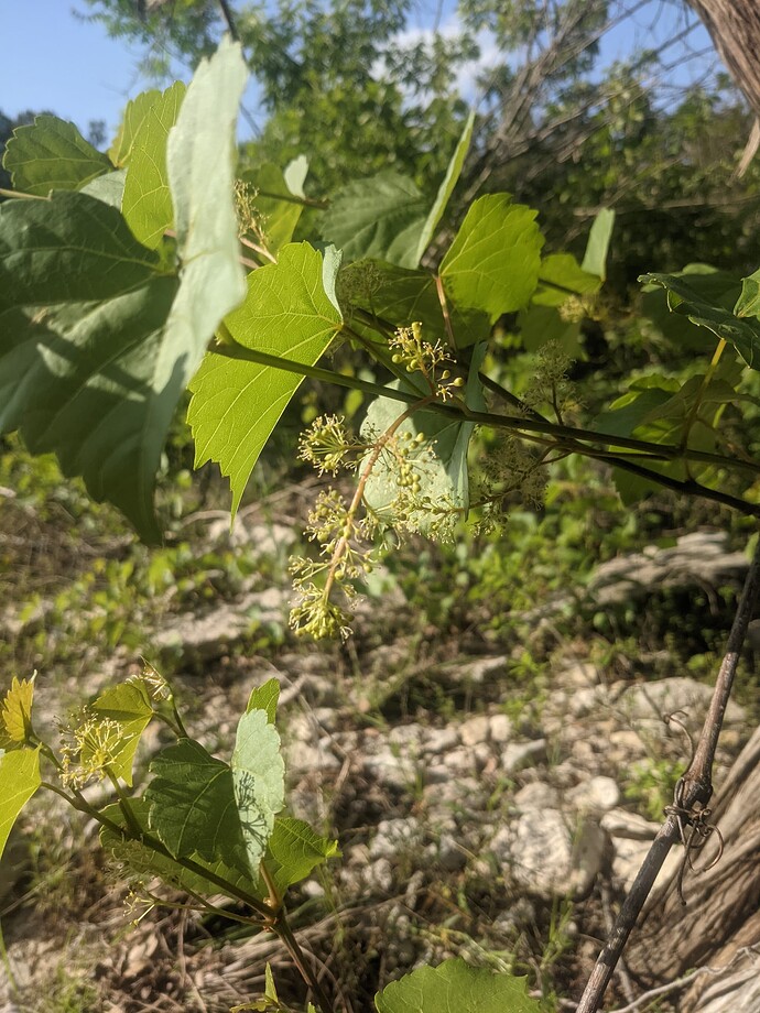 PXL_20210508_225227262