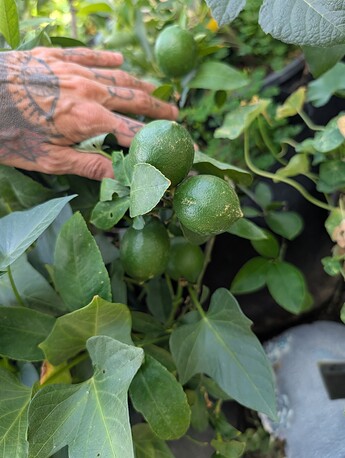 PXL_20250814_232640480