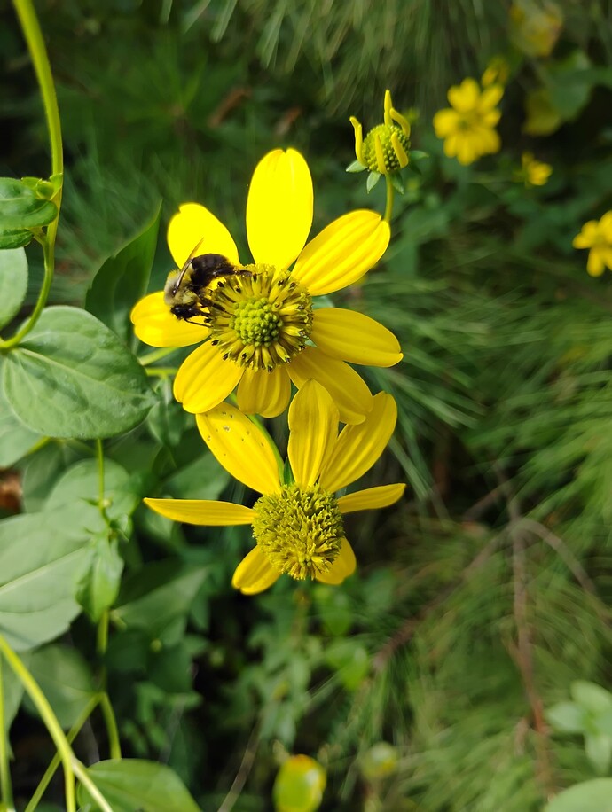 IMG_20250916_101458613