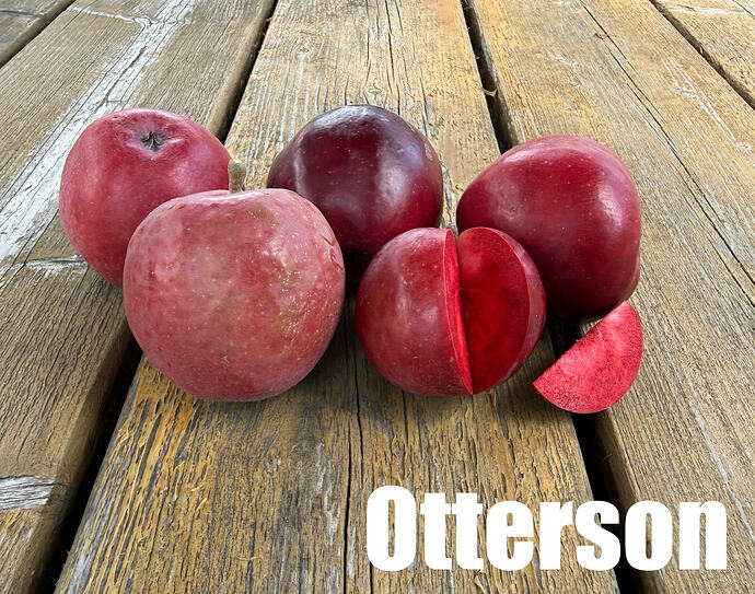 Otterson_2026