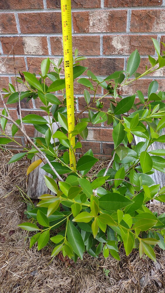 IMG_20250707_094550822