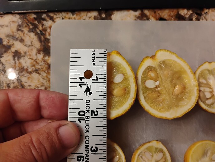 halved trifoliate deering