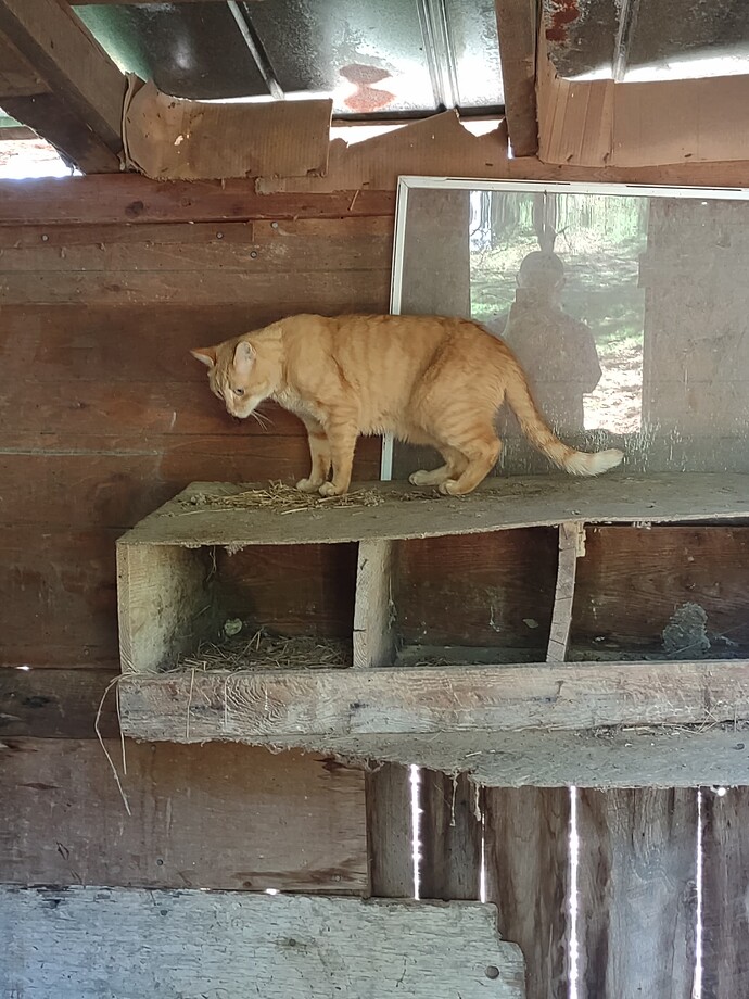 IMG_20251011_140420065