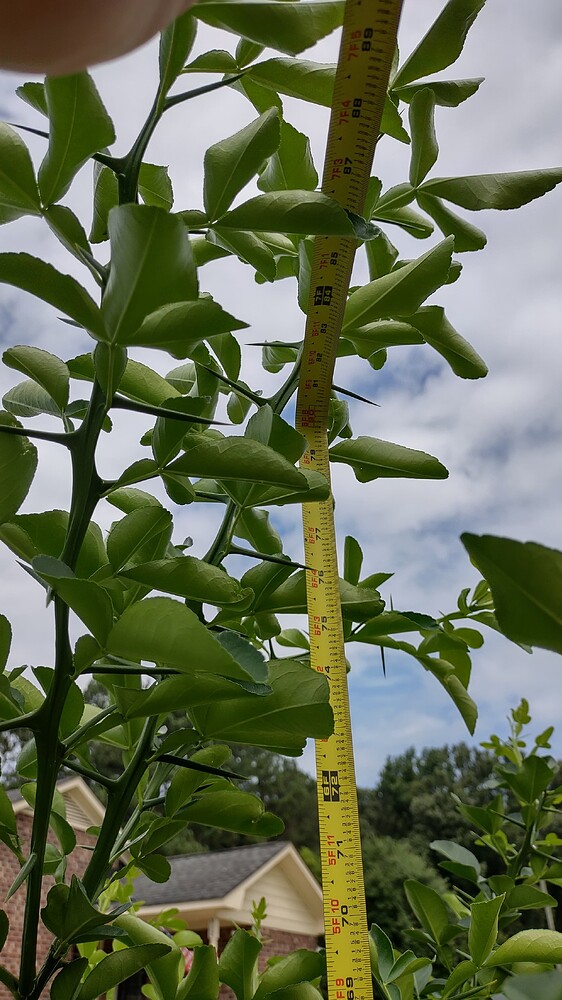 IMG_20250707_102352631_HDR