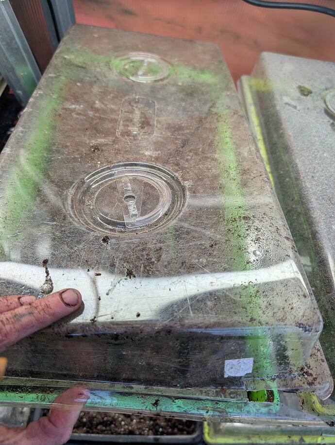 PXL_20260205_163300835