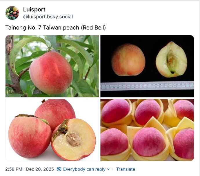 WhatsApp Image 2025-12-20 at 15.10.36