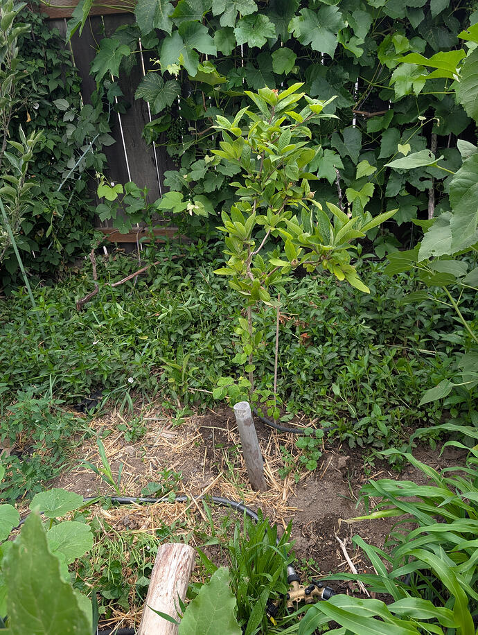 PXL_20260626_211437409