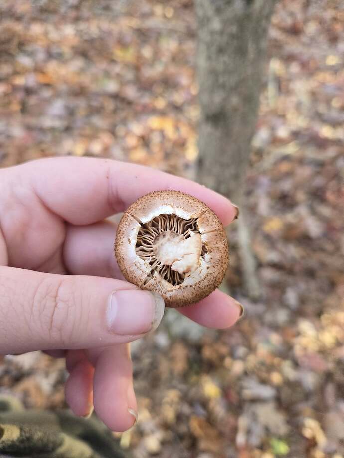 572985289_10234469190125945_4261738918299387407_n