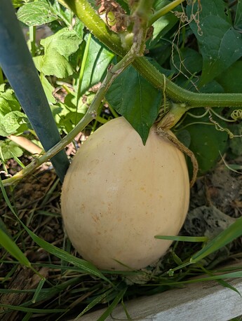 PXL_20250724_214036064