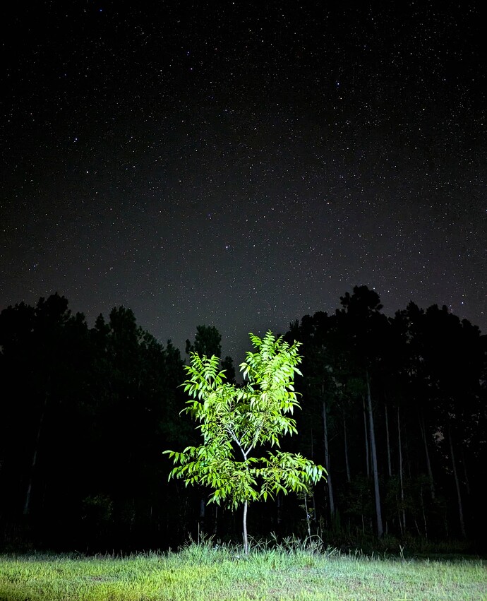 PXL_20250729_045832598.NIGHT~2