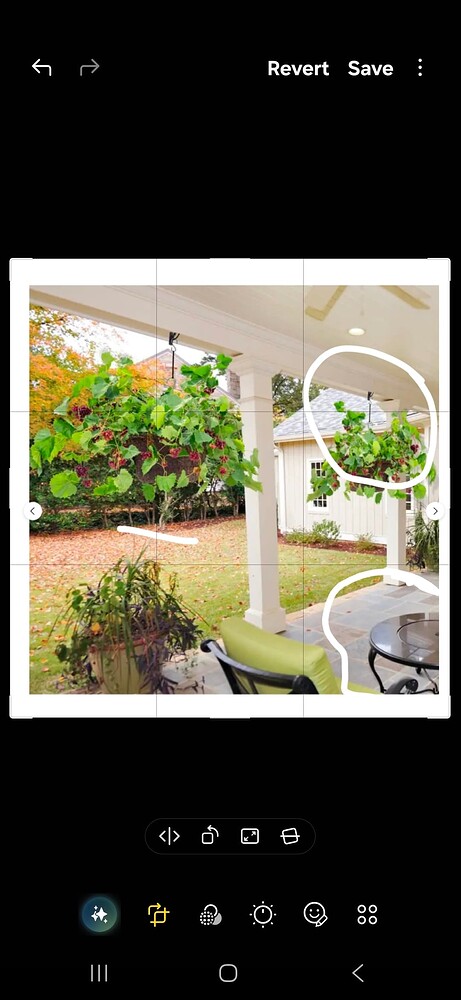 Screenshot_20260105_203609_Photo Editor