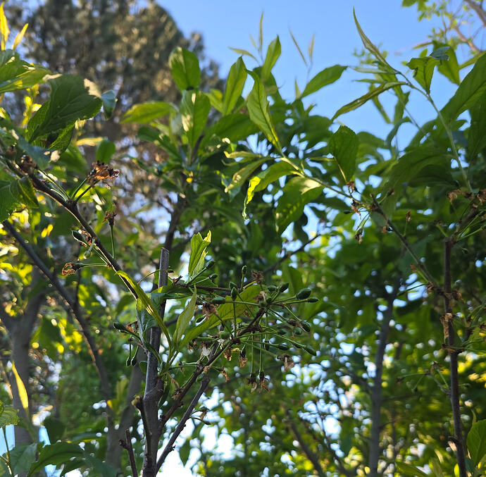 20260409_080828 (2026-04-09T19_09_25.378)