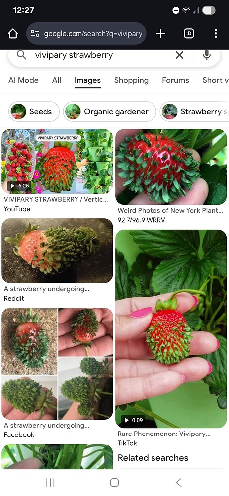 Screenshot_20250625_002727_Chrome