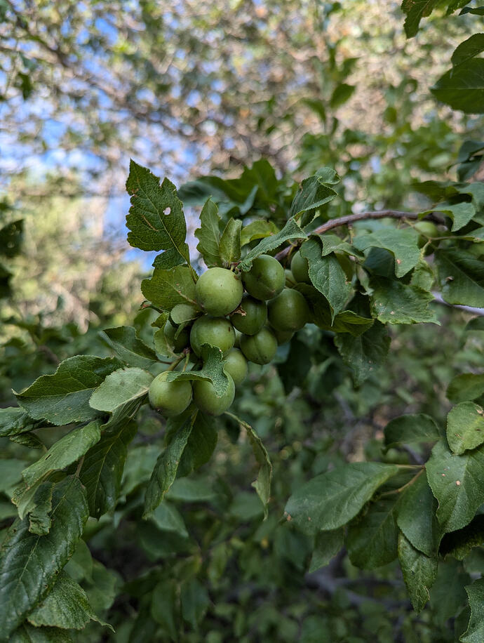 PXL_20240711_142049462