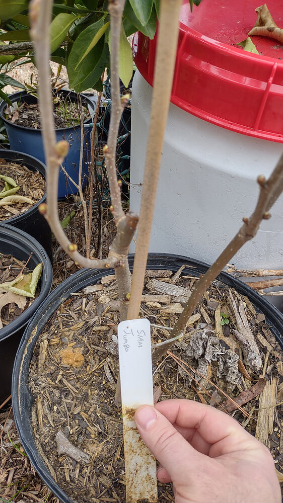 IMG_20260211_134034682_HDR