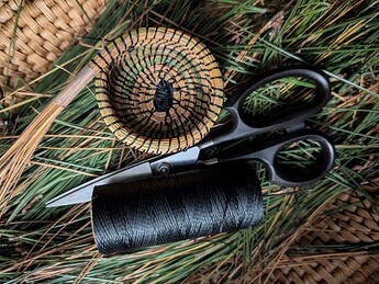 PXL_20251015_094216231