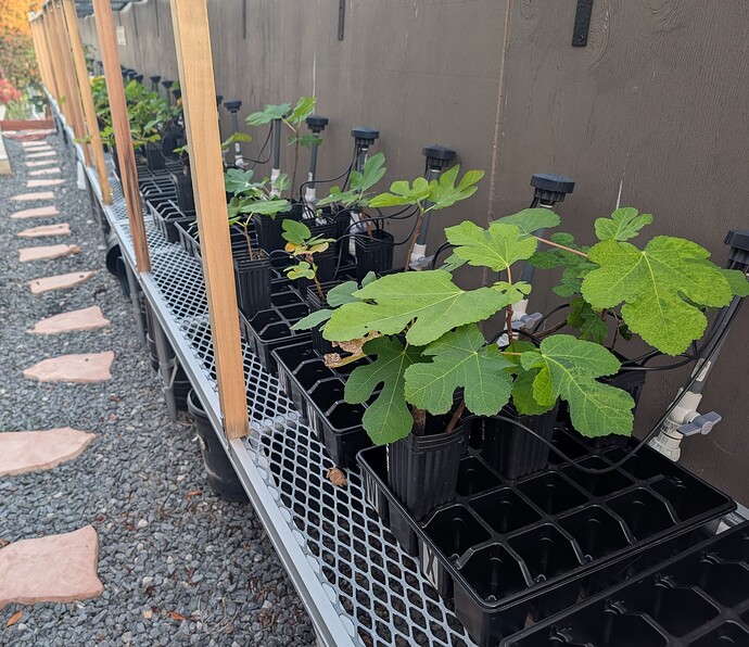 PXL_20251201_001036600