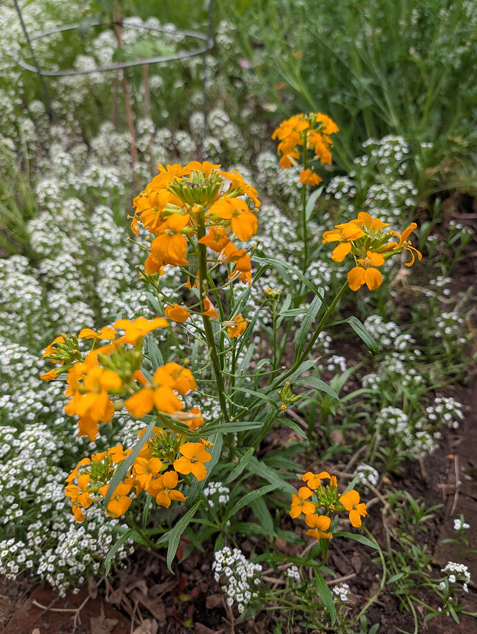 PXL_20260429_013137018