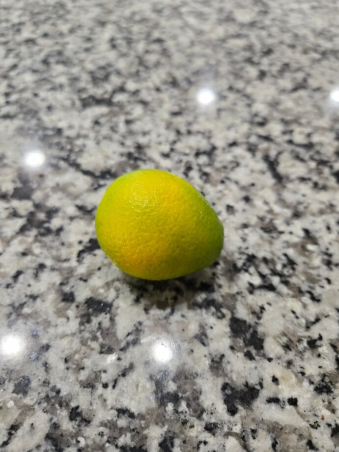 20251019_140317