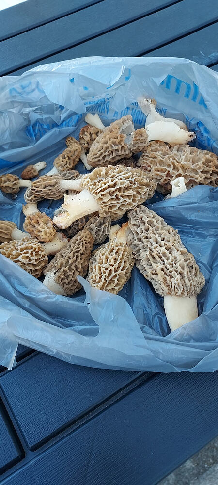 Resized_20260406_115426