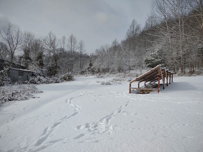 IMG_20260204_103507700