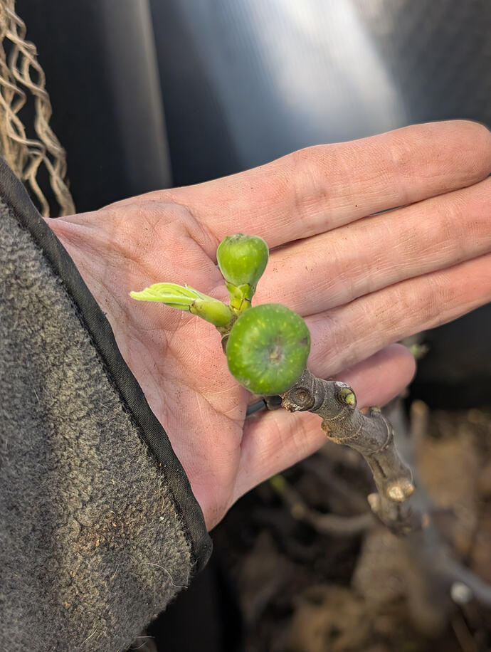 PXL_20260227_005036224