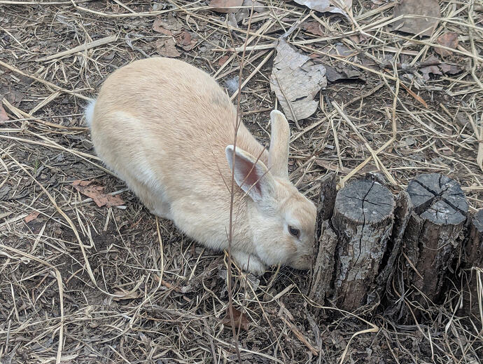 PXL_20260301_063957914