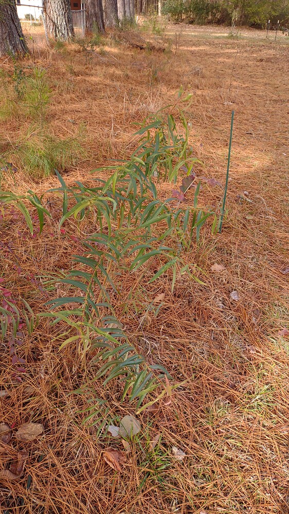 IMG_20251209_112024528