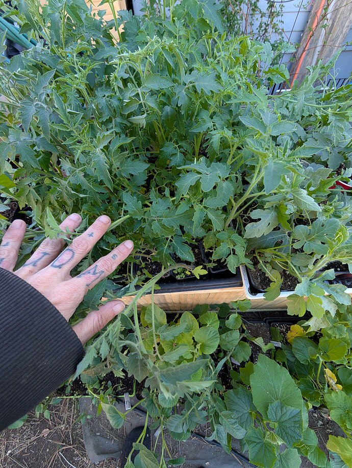 PXL_20260408_205837894