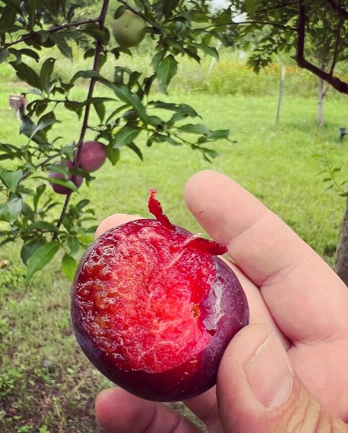 515221775_10162571055791992_6132131160693732214_n