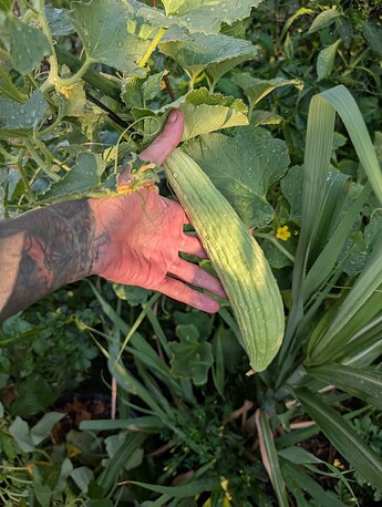 PXL_20250908_003413474