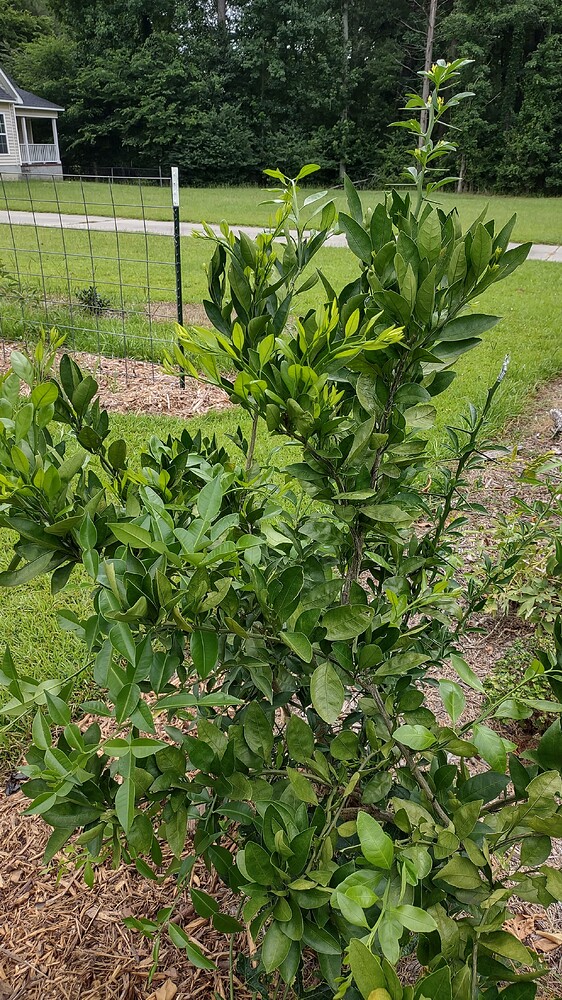 IMG_20250702_120027895_HDR