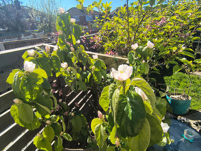 IMG_20260424_105801335_HDR