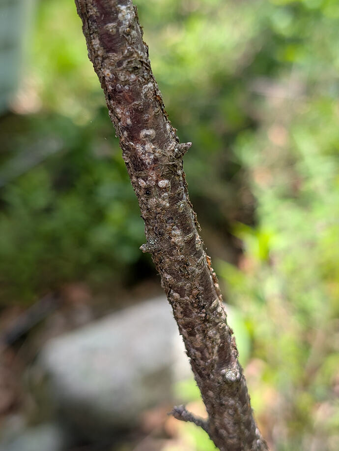 PXL_20260528_173044197