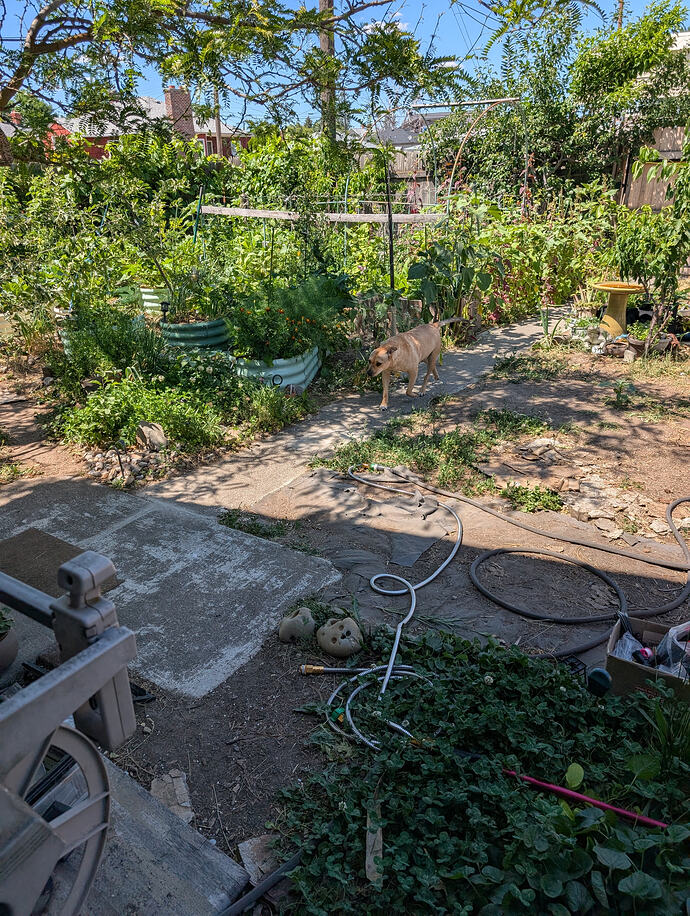 PXL_20260618_211440459