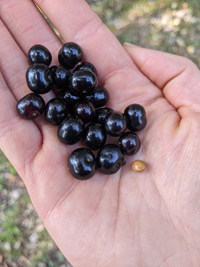 PXL_20250621_133641091