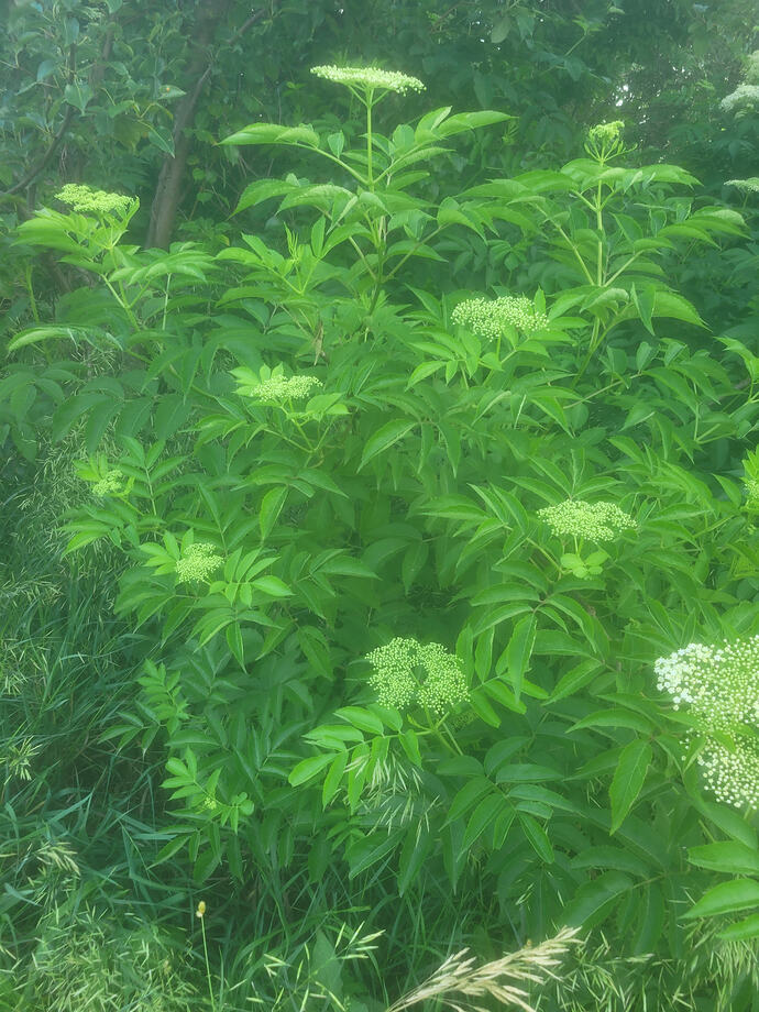 20260606_073205
