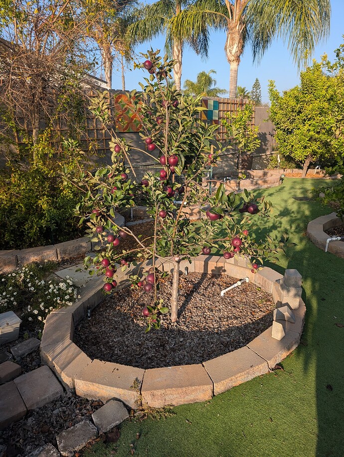 PXL_20251108_233029556