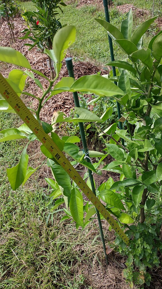 IMG_20250707_102750879_HDR