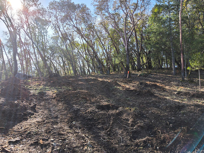 17700634990674670158707310458749