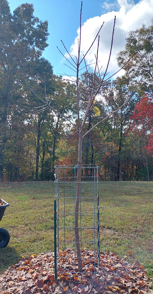 20251030_113523