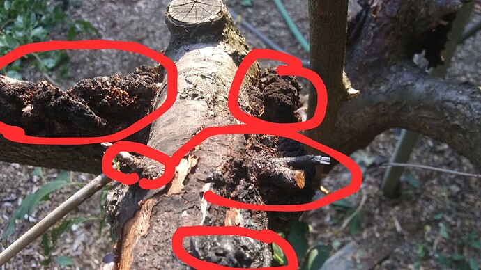 20250905_162042-EDIT