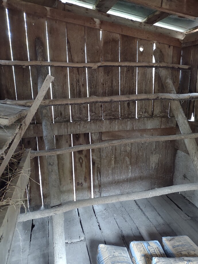 IMG_20250921_174130542