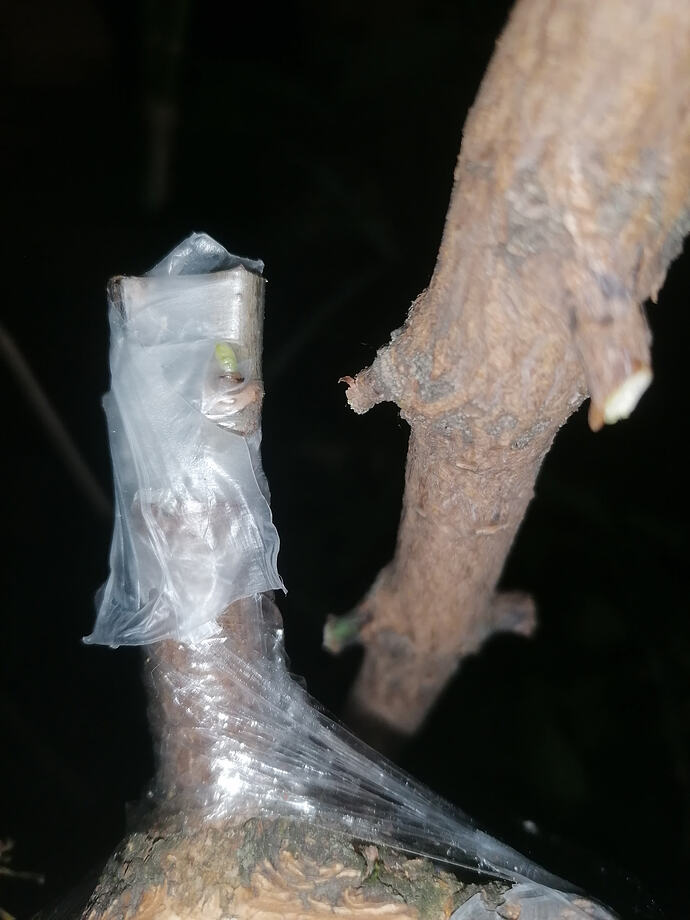 IMG_20260623_224400
