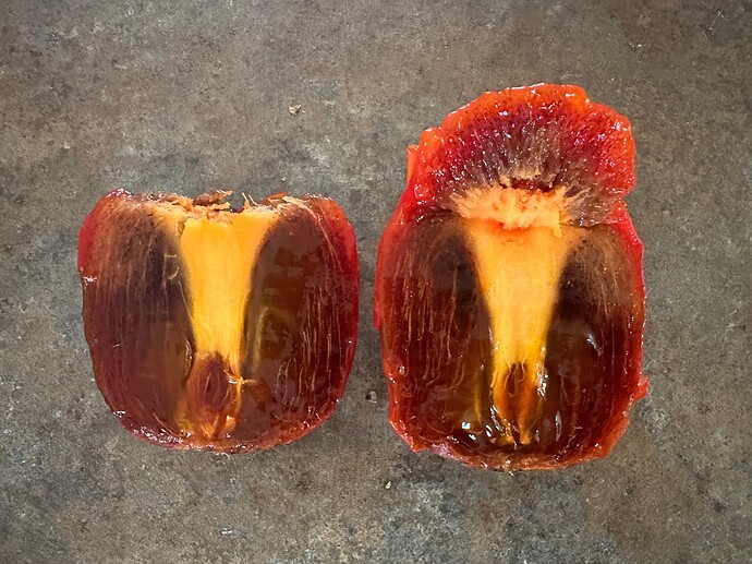 Persimmon - Saijo - 2025-11-02 - fruit9