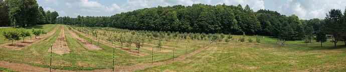 IMG_20250808_134102339