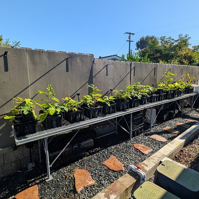 PXL_20250801_234623663