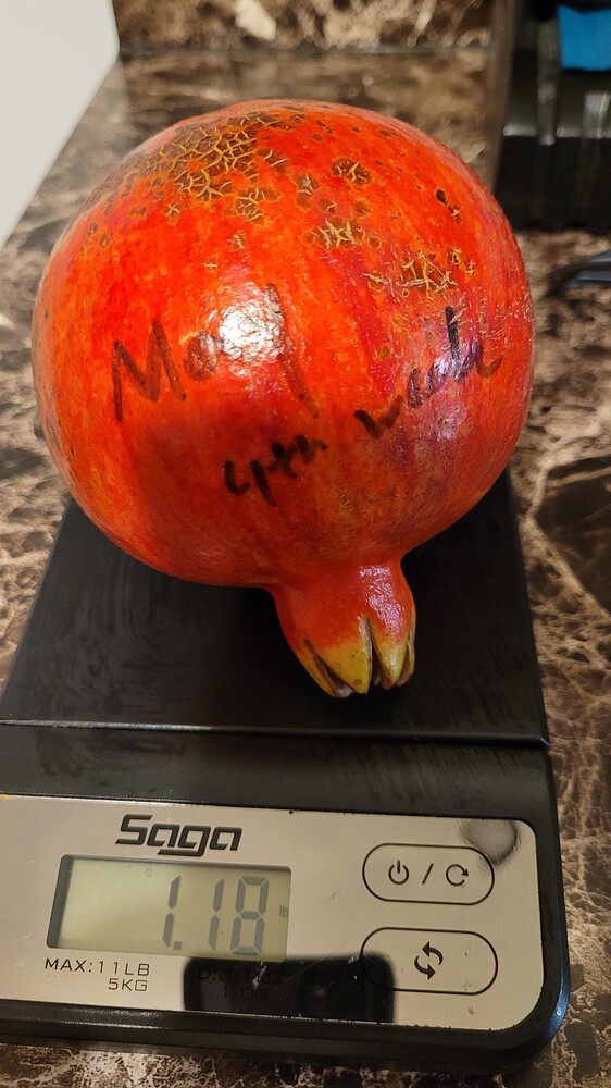 icm_fullxfull.817331557_re1dnc93le884g08co8k