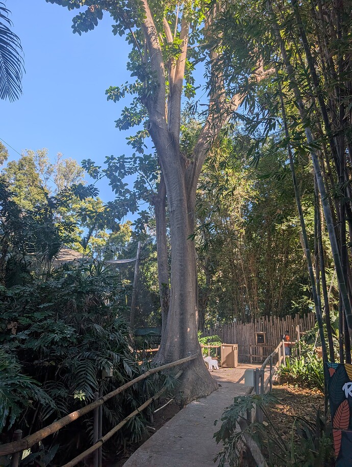 PXL_20251027_212052551